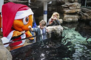 Bristol Aquarium